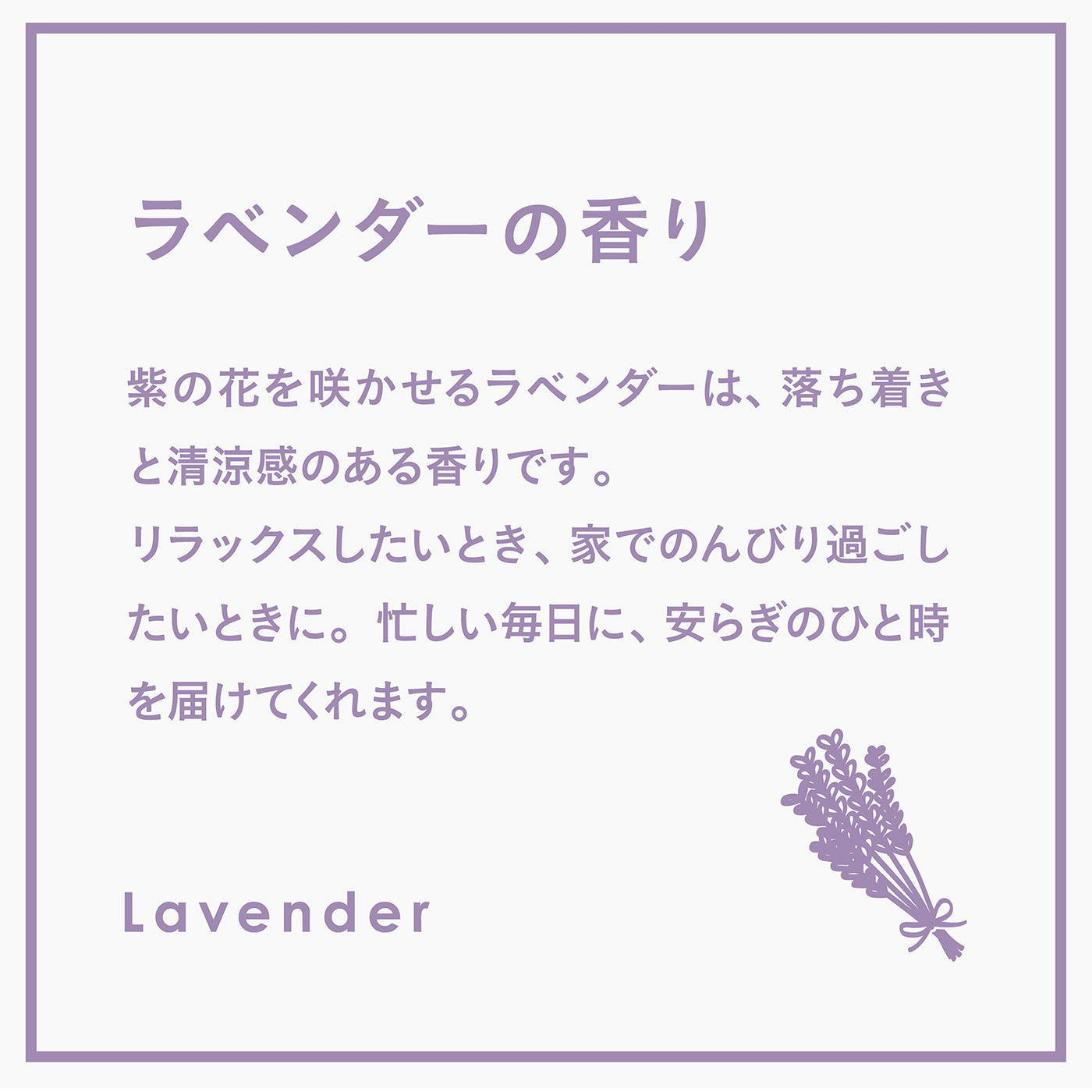 【リフィル】ランドリー柔軟剤ジェントリー ラベンダー