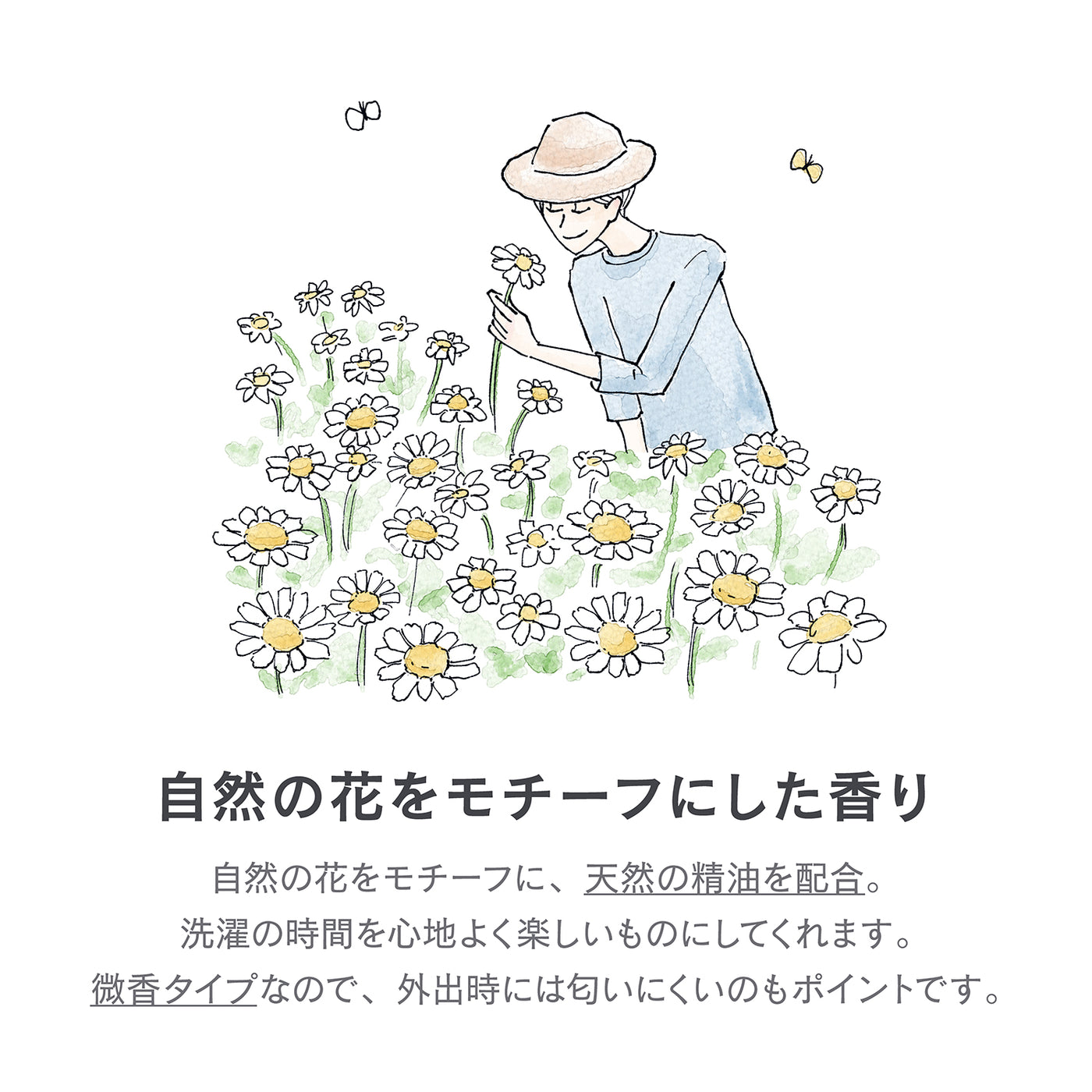【リフィル】ランドリー柔軟剤ジェントリー カモミール