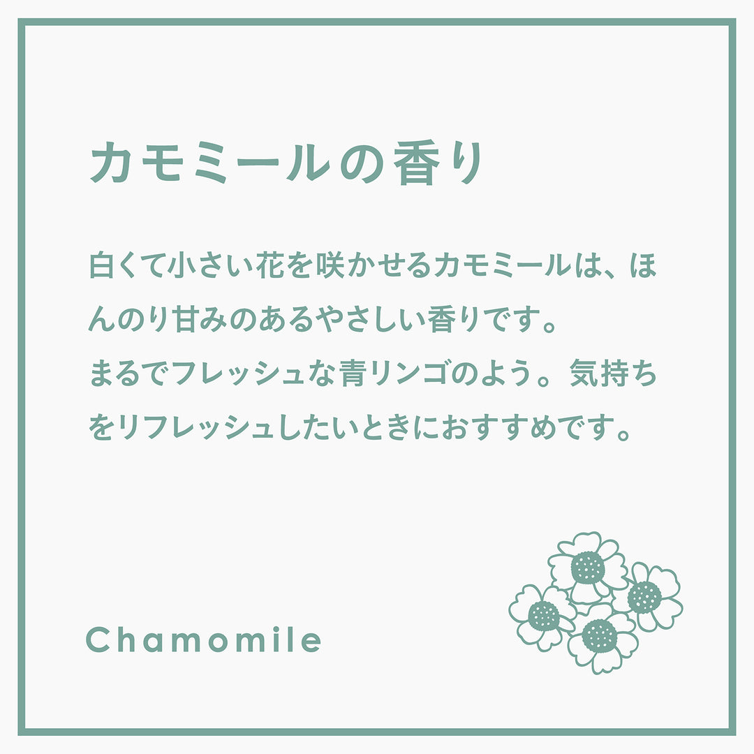 リフィル】ランドリー柔軟剤ジェントリー カモミール – FREDDY LECK