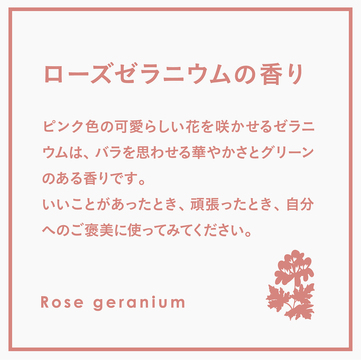【リフィル】ランドリー柔軟剤ジェントリー ローズゼラニウム